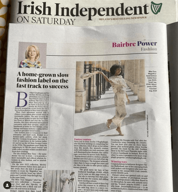Mise Tusa in the Irish Independent
